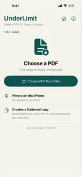 UnderLimit PDF selection screen explaining private, flattened output
